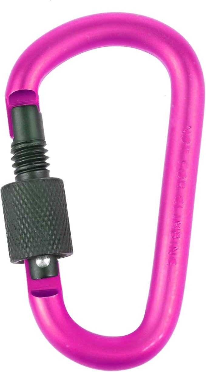 10 Pack Aluminum D Ring Key Rings Hiking Clips Locking Carabiner for Hiking Camping Fishing and Outdoor Use,Clips with Screw Gate Multicolored