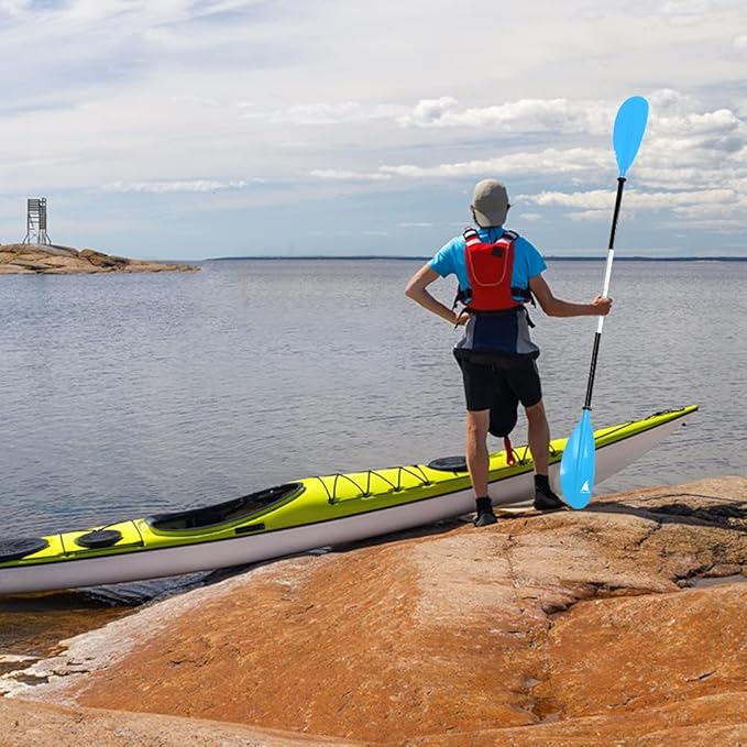 Kayak Paddle - Adjustable 2 Pieces Aluminum Alloy Shaft with Glass Fiber Blade for Surfing,Oar Fishing Easy Packable Travel