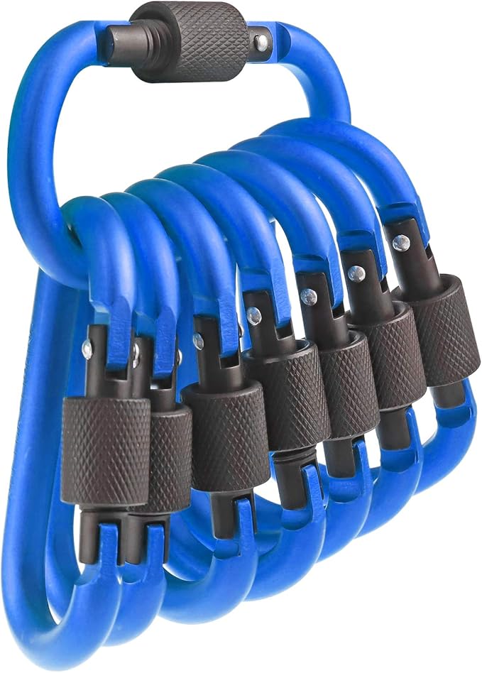 10 Pack Aluminum D Ring Key Rings Hiking Clips Locking Carabiner for Hiking Camping Fishing and Outdoor Use,Clips with Screw Gate Multicolored