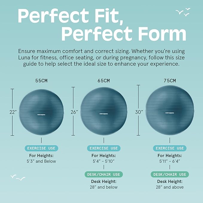 Retrospec Luna Exercise Ball, Base & Pump/Ball & Pump with Anti-Burst Material - Fitness Gym Swiss Ball - Perfect for Balance, Stability, Yoga, Pilates, Pregnancy & Birthing