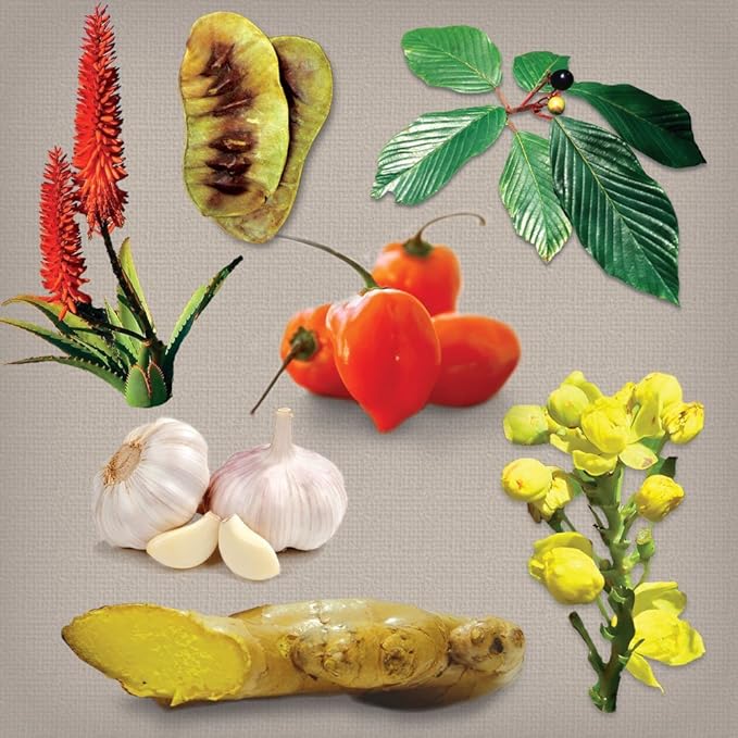 Dr. Schulze's Intestinal Formula #1 Colon Bowel Cleanse, 90 caps, 2 Count