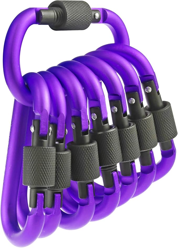 10 Pack Aluminum D Ring Key Rings Hiking Clips Locking Carabiner for Hiking Camping Fishing and Outdoor Use,Clips with Screw Gate Multicolored