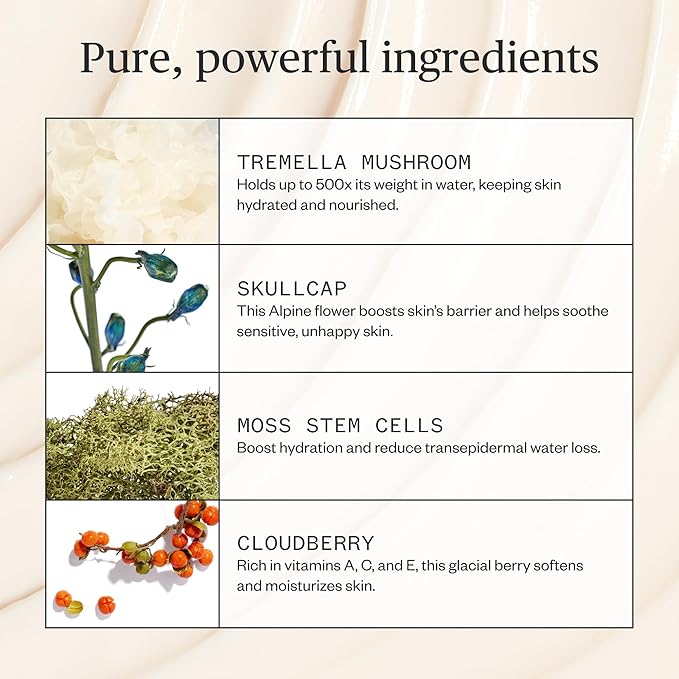 Ursa Major Alpine Rich Cream | Deeply Hydrating & Moisturizing Natural Face Lotion | Supports Skin Barrier and Targets Fine Lines | Vegan, Non-Toxic, Cruelty-Free | 1.69 ounce