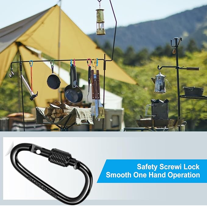 10 Pack Aluminum D Ring Key Rings Hiking Clips Locking Carabiner for Hiking Camping Fishing and Outdoor Use,Clips with Screw Gate Multicolored