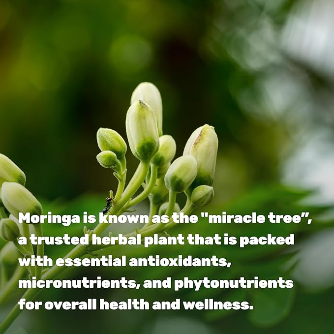 Moringa Capsules 9,000mg Herbal Equivalent, 240 Capsules – 4 Month Supply – Maximum Potency Pure Moringa Leaf Extract – Complete Green Superfood Supplement for Energy, Skin & Immune Health Support