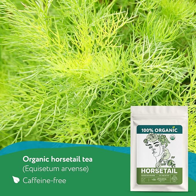 Super Value Pack 5 LB - Organic Horsetail (Equisetum arvense) ā Loose Dried Herb ā Edible Grade for Tea, Infusions & Herbal Blends