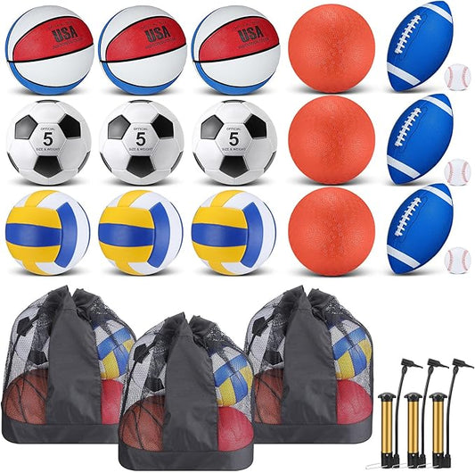 Leyndo 18 Pcs Sport Balls Bulk Set Basketball Football Volleyball Soccer Playground Baseball with Sport Equipment Bag Pump for Youth Adults Outdoor Indoor Practice Gift Back to School
