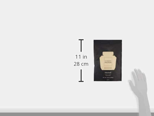 WelleCo, Nourishing Protein, Premium Organic Sprouted Brown Rice & Pea Protein, Vanilla Flavour, 300g (10.5oz) Pouch