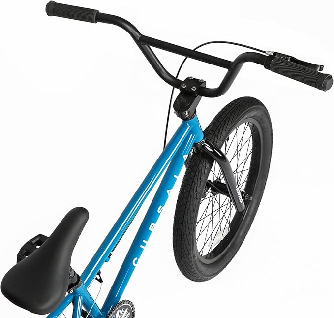 Freestyle BMX Bike, 18 20 Inch Kids Bicycle for 5-13 Years Old Kids and Beginner Level Rider, Multiple Colors