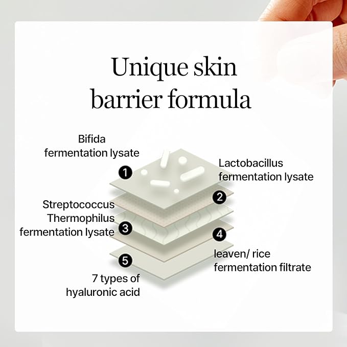 mixsoon Bifida Toner Pad,Moisture Barrier, Bifida Ferment Lysate, Rayon Sponge Pad (250ml/8.45fl.oz/120 Sheets)