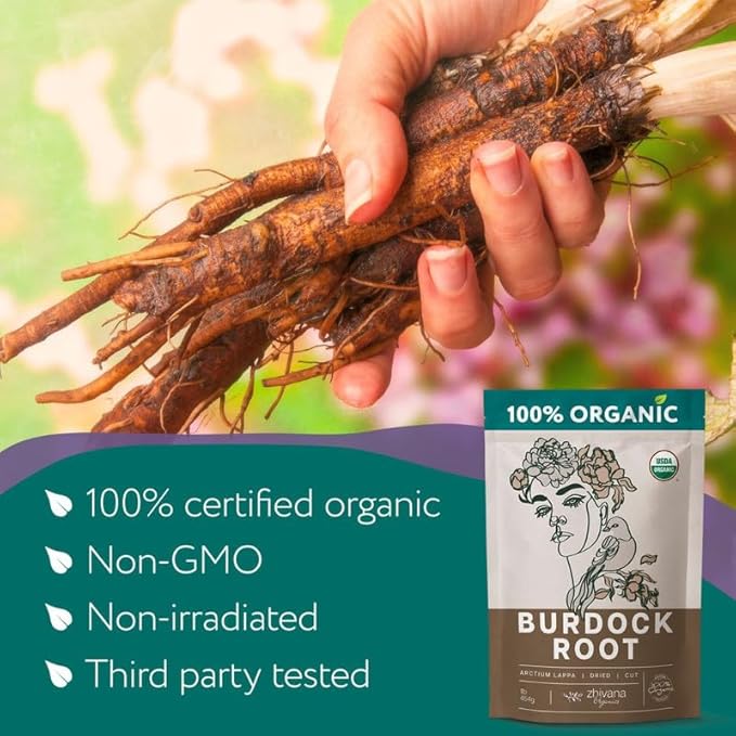 Premium Burdock Root Organic (4oz.) – Great Burdock Tea Loose - Raiz de Bardana Organica – Support Digestion, Liver, Gut Health