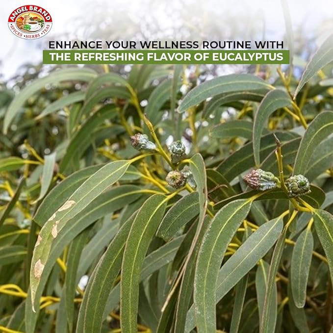 Angel Brand Eucalyptus Leaves 0.25 oz Pouch Pack of 3 - Eucalyptus Has Refreshing Slightly Wood Flavour - Dried Eucalyptus Leaves Commonly Used in Various Dishes, Herbal Tea, Syrups & Savory Dishes