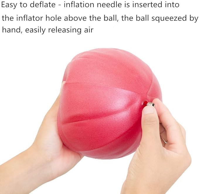 Mini Fitness Exercise Ball Kit with Hand Pump for Yoga, Pilates, Body Balance, Core Training and Stability, 8"