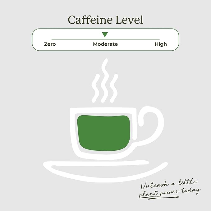 Starwest Botanicals Organic Green Tea - Caffeinated Herbal Tea, Contains Caffeine, Tea with Antioxidant Properties, USDA Organic Green Tea Leaf, Non GMO - 20 Tea Bags