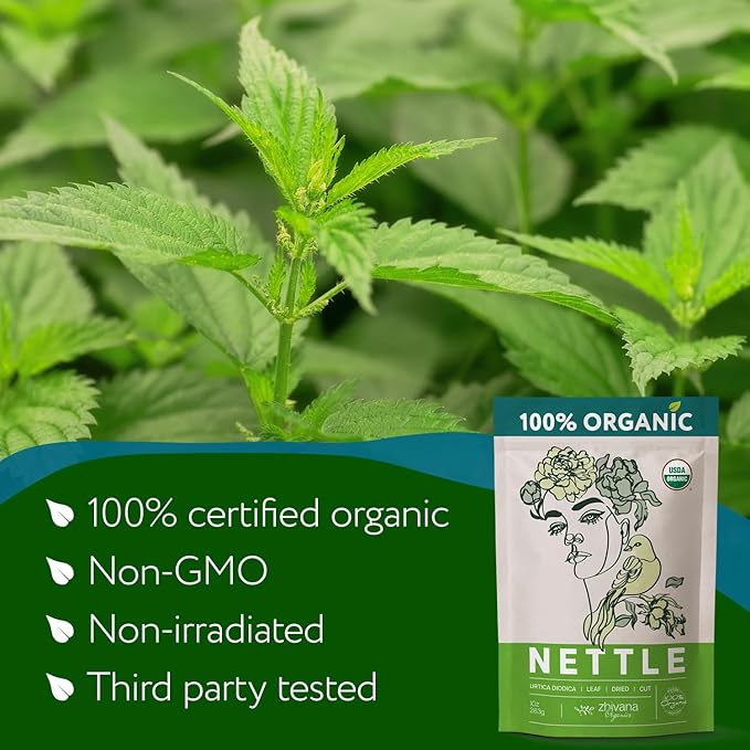 Stinging Nettle Tea Organic Loose Leaf - Dried Nettles Herb, Ortiga Tea – Cleanse Body, Remove Toxins, Easy Allergy – 8 oz