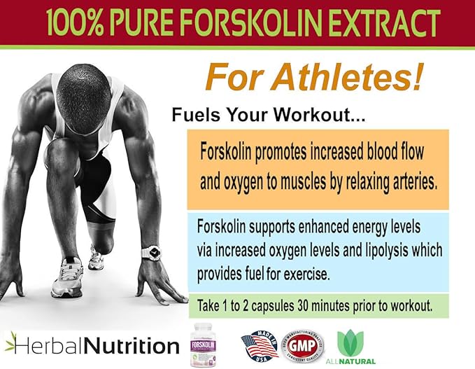 Forskolin for Weight Loss, 250mg-500mg Max Strength Forskolin Two Pack 90 Count Bottles, 20% Extract of Pure Forskolin, Ideal Diet and Athletes Formula!