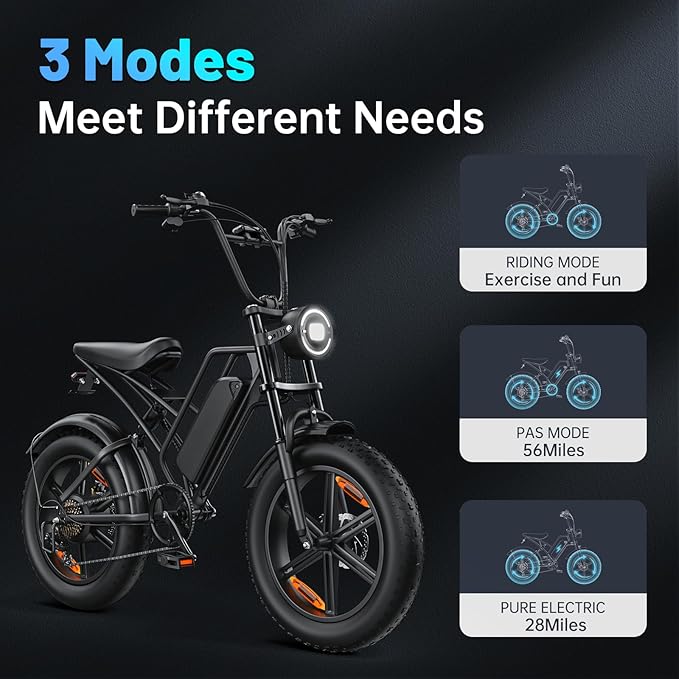 E500 Electric Bike for Adults 1000W Peak Motor, 20" Fat Tire Dirt E-Bike with 35MPH, 40 Miles PAS Range, Electric Bicycles with 48V Removable Battery, 7-Speed E Bike for Mountain Beach Sand Road Snow