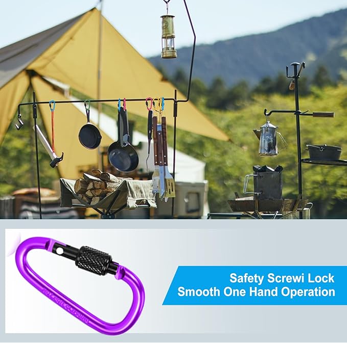 10 Pack Aluminum D Ring Key Rings Hiking Clips Locking Carabiner for Hiking Camping Fishing and Outdoor Use，Clips with Screw Gate Multicolored