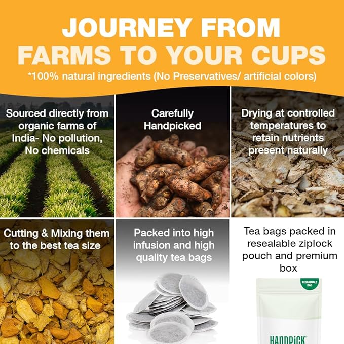 HANDPICK, Organic Turmeric Ginger Tea, 100 Eco-Conscious Tea Bags | Caffeine Free, Gluten Free, Non-GMO | 100% Pure Herbal Blend - Savory & Spicy