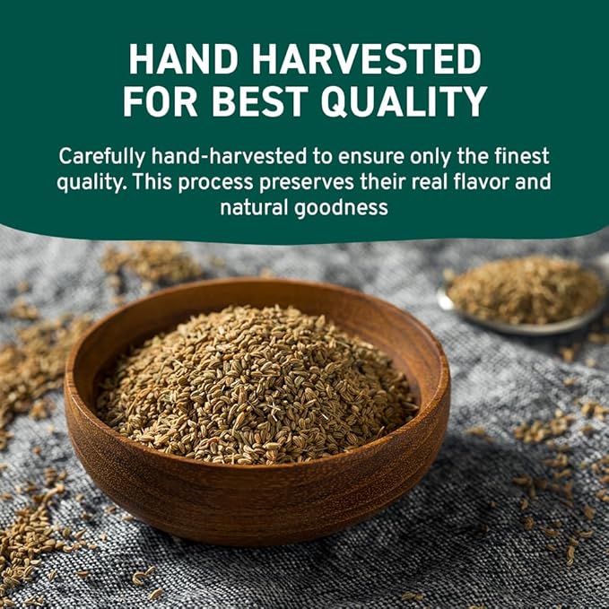 HANDPICK Ajwain Seeds (397g/14oz) Whole Carom Seeds | Vegan, Gluten free, Non GMO | Raw Carom Bishops, Indian Origin | Packed in Resealable Ziplock Pouch