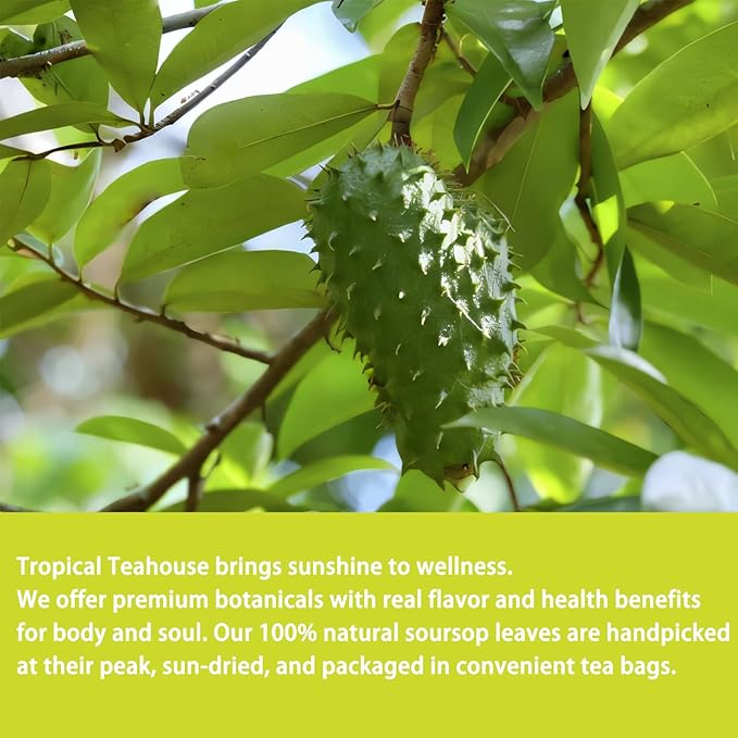 Samcci - Soursop Leaves Tea Bags, 40Teabags, 1.5g/bag, 100% Pure Sour Sop Graviola leaves Tea - Hojas De Guanabana Tea - Improve Digestion - Promotes Skin Health - Non-GMO - Caffeine-Free