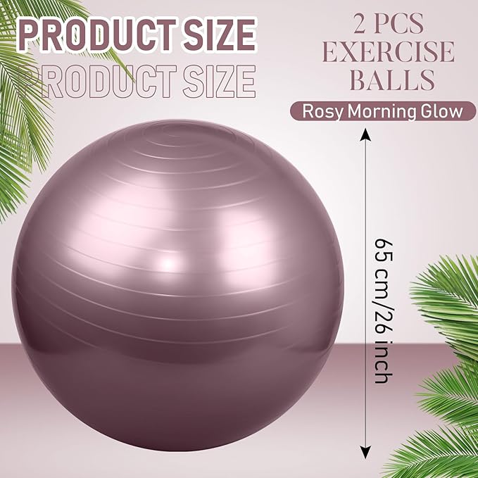Leyndo 2 Pcs Yoga Ball Exercise Ball Large 26 Inch Exercise Anti Burst Birthing Fitness Ball with Pump, 26 Inches/ 65 cm for Improved Posture, Balance, Yoga, Pilates, Training