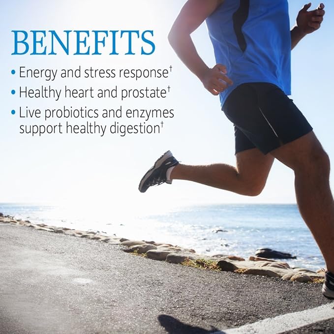 Garden of Life Vitamin Code Raw One for Men, Once Daily Multivitamin, 30 Capsules, One a Day Mens Vitamins Plus Fruit, Veggies & Probiotics for Mens Health, Vegetarian Multivitamins