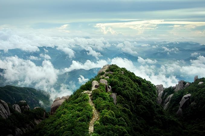 Organic Silver Needle White Tea, Greenhilltea Natural Organic Silver Needle White Tea has a savoury aroma – 8 OZ