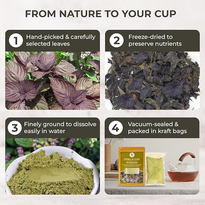 Perilla Leaf Powder (Shiso) - 10.58 oz, 100% Pure Dried Perilla Leaves, Herbal Drink & Culinary Ingredient, Rich in Nutrients, Immunity Supports, No Additives, No Caffeine, Gluten Free