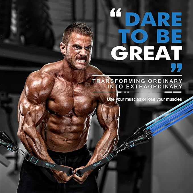 HPYGN Resistance Bands, Exercise Bands with Handles, Fitness Bands, Workout Bands with Door Anchor and Ankle Straps, for Heavy Resistance Training, Physical Therapy, Shape Body, Yoga, Home Workout Set