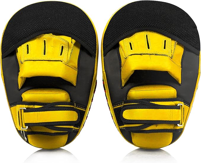 Fairtex FMV13 Maximized Focus Mitts for Boxing, Muay Thai Kickboxing, MMA