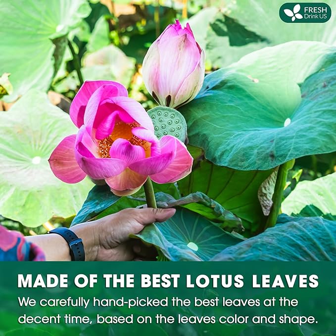 FreshDrinkUS, Premium 135 Lotus Leaf Tea Bags, 100% Natural & Pure from Lotus Leaves. Loose Leaf Lotus Herbal Tea. Made with Eco-Conscious Tea Bags. No Sugar, No Caffeine, No Gluten, Vegan.