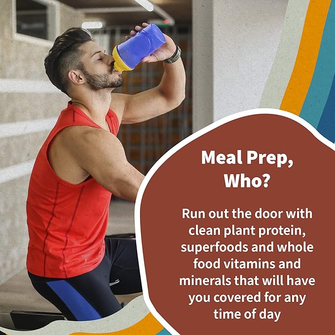 Garden of Life Meal Replacement Shakes, Vegan Protein Powder, Raw Organic Meal, Vanilla Chai Powder with Plant Based Pea Protein, Sprouts, Greens, Probiotics, Dairy Free 14 Servings