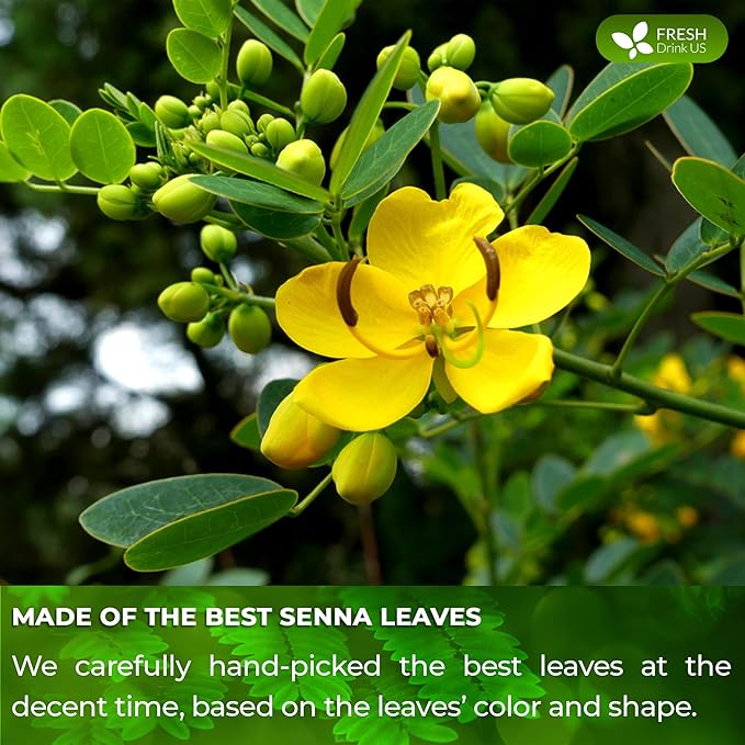 FreshDrinkUS, Permium 10oz Senna Leaves, 100% Natural & Pure from Senna Leaves, Senna Leaf Tea, Senna Loose Leaf Herbal Tea, No Additives, No Caffeine, Vegan