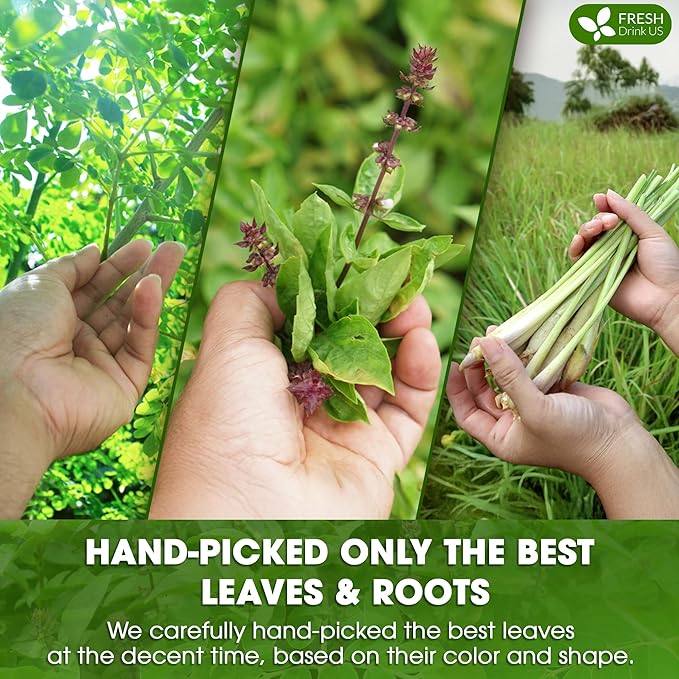 FreshDrinkUS, Premium 55 Tea Bags Tulsi Moringa Lemongrass, 100% Natural & Pure from Tulsi Holy Basil Leaves, Moringa & Lemongrass. Made with Natural Material Tea Bags. No Sugar, No Caffeine, Vegan.