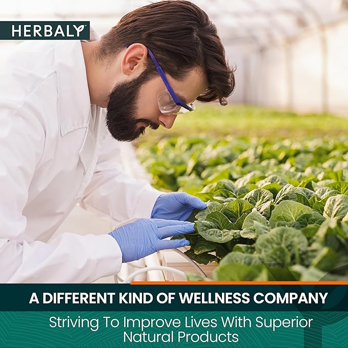 Herbaly Heart Functional Tea - 9 Superherbs - Natural, Organic, Non-GMO, Caffeine-Free, Sugar Free - 2 Pack, 60 Pyramid Tea Bags