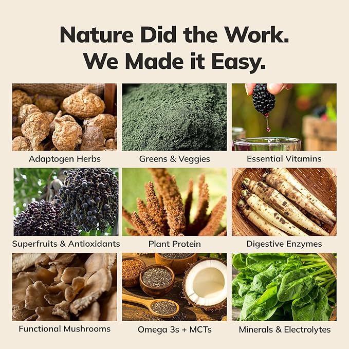 Ka’Chava Whole Body Meal Shake Coconut Acai 2 lb – Vegan Protein Powder with 85+ Superfoods & Greens – Plant-Based Meal Replacement – Probiotics & Digestive Enzymes – Gluten & Dairy Free (15 Servings)