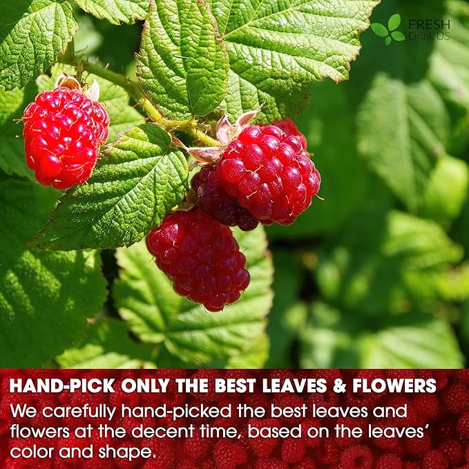FreshDrinkUS, Premium Raspberry Leaf Tea with Chamomile – 135 Tea Bags | Naturally Caffeine-Free Herbal Blend | Soothing Floral Flavor | Premium Loose Herbal Tea in Natural Material Tea Bags