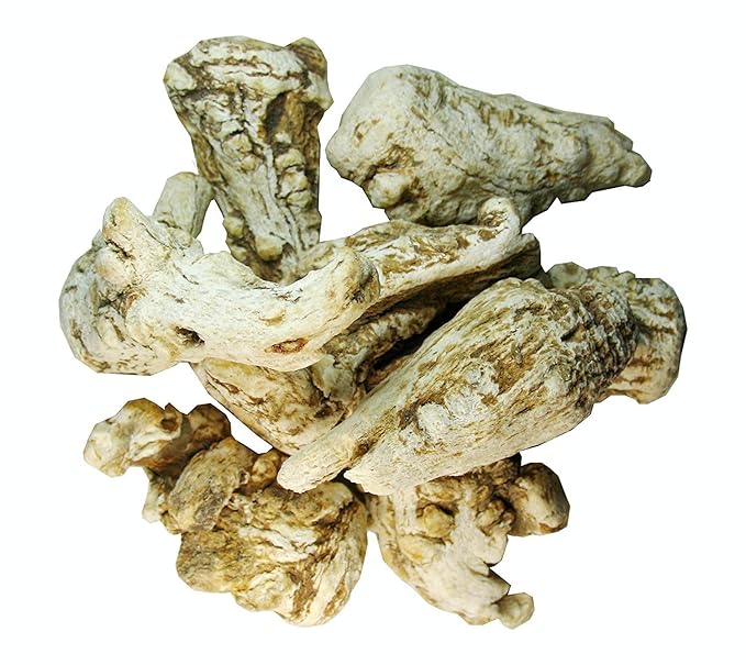 Green Hill Tea Astragalus Root Tea – Dried Astragalus root for Herbal Infusion - Traditional Chinese Herbal Tea - Caffeine-Free, Gluten-Free, Vegan - Rich in Antioxidants當歸 当归 5 OZ