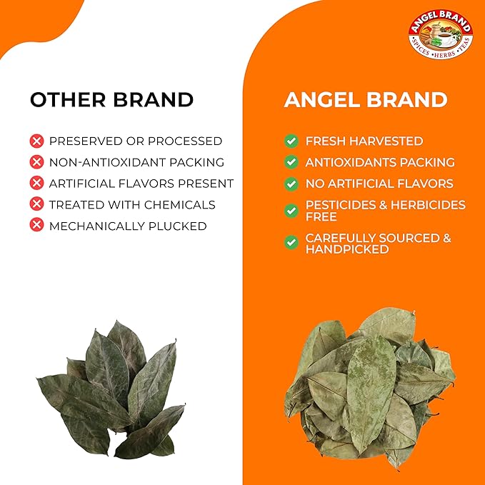 Angel Brand Soursop Leaves – Dried Guanabana Leaves for Herbal Tea, Ideal for Brewing Refreshing and Beneficial Drinks, Natural Soursop Tea Leaves for Everyday Enjoyment – 2oz