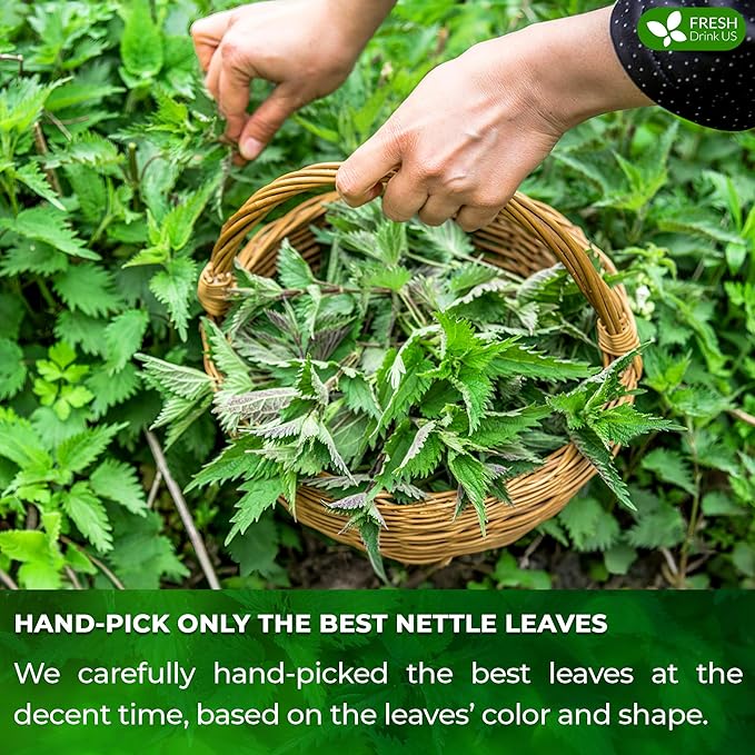 FreshDrinkUS, 30 Nettle Leaf Tea Bags, 100% Natural & Pure from Nettle Leaves. Loose Leaf Nettle Herbal Tea. Nettle Leaf Tea. No Sugar, No Caffeine, No Gluten, Vegan.
