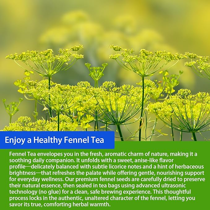 Samcci - Fennel Tea,4g×40 Teabags,100% Natural & Pure Fennel Seeds Herbal Tea - Non-GMO - Caffeine-free - Helps Improve Digestion & Immune System