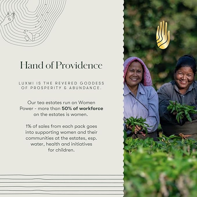 Luxmi Estates - Queen of the Hills - Organic Black Tea - Loose Leaf - 100g (50 Cups) | Freshly Harvested Organic Makaibari Darjeeling Tea | Best Natural Flavor Tea The World Has To Offer