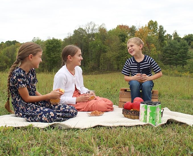 Kauffman Orchards Sparkling Apple Cider, 12 oz. Can (Pack of 6)