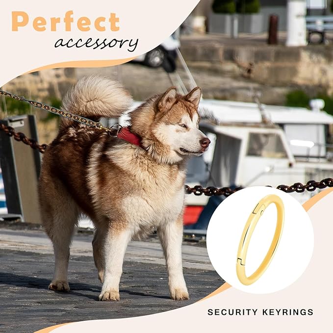 10Pack 2" Large Round Carabiner Clips, Metal Spring O Rings for Organizer Key Rings, Paracord Keychain Lanyard, Pet Chains, Purse Hardware, Key Snap Hooks DIY Accessory (Gold)