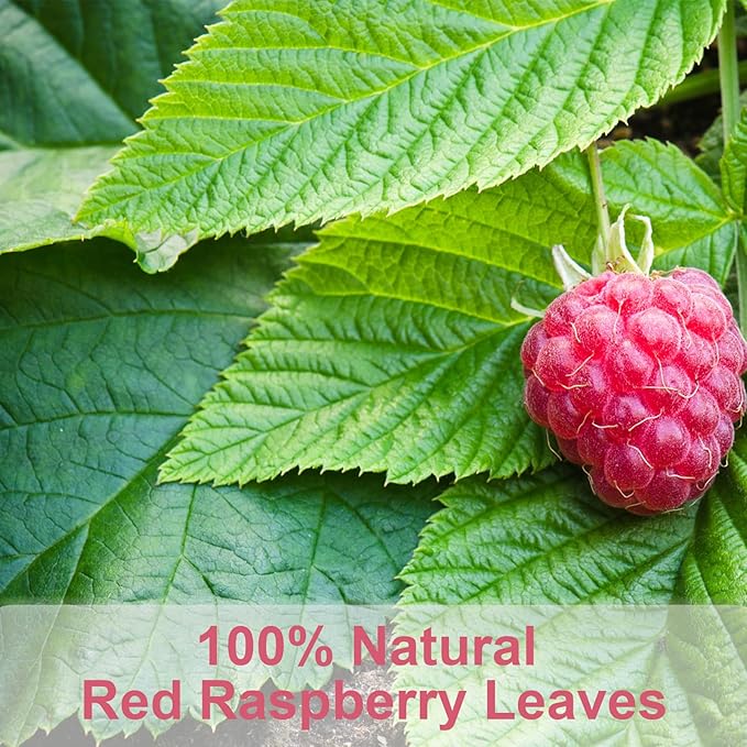TEARELAE - Raspberry Leaf Tea - 1.5g x 60 Count - Premium Red Raspberry Leaves Tea Bags - Promote a Healthy Pregnancy, Ease Menstrual Cramp - Non-GMO - Caffeine-Free