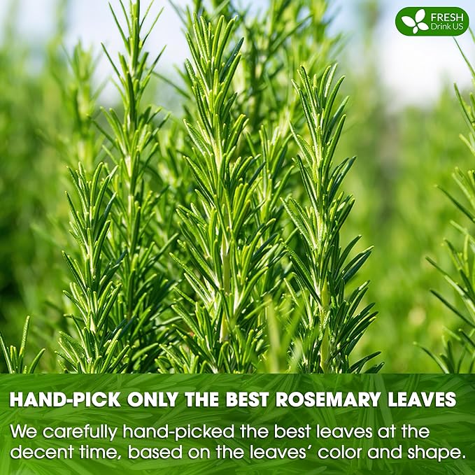 FreshDrinkUS Premium Rosemary Leaf Tea Bags - 75 Count, 100% Natural Dried Leaves, Pure Herbal Tea, No Additives, No Caffeine, No Gluten, Vegan