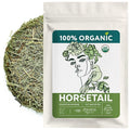 Organic Horsetail (4 oz.) (Equisetum arvense) – Loose Dried Herb – Edible Grade for Tea, Infusions & Herbal Blends