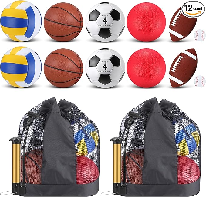 Deekin 12 Pcs Assorted Sport Ball Set Official Size Basketball, Football, Volleyball, Soccer, Baseball, Playground Ball with Bag and Pump Gift for Kid Youth Adult Back to School