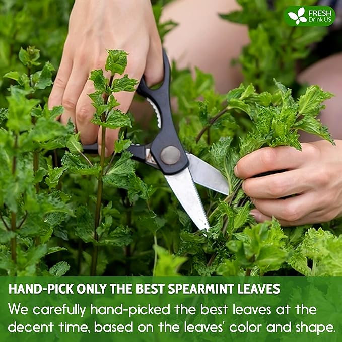 FreshDrinkUS, Premium 120 Spearmint Tea Bags, 100% Natural & Pure from Spearmint Leaves. Loose Leaf Spearmint Herbal Tea. Made with Natural Material Tea Bags. No Sugar, No Caffeine, No Gluten, Vegan.